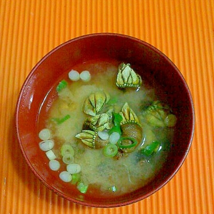 亀の手の味噌汁 レシピ 作り方 By テツオ63 楽天レシピ 亀の手の味噌汁 レシピ 作り方 By テツオ63 楽天レシピ